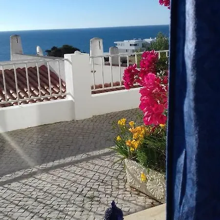 Docevida # Ocean View